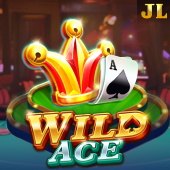 Wild Ace slot on pair play